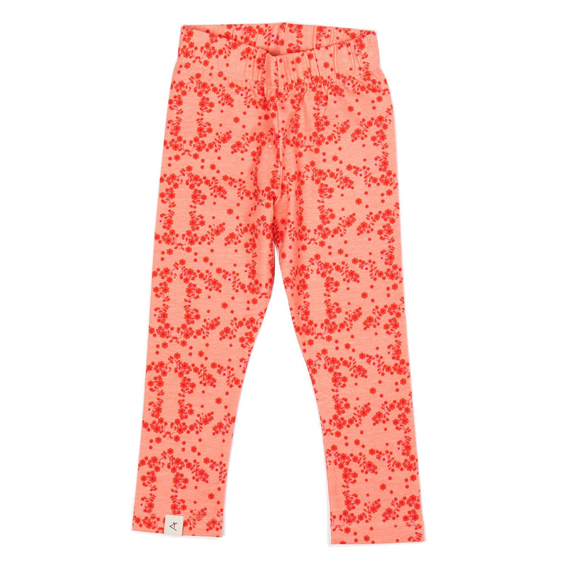 Load image into Gallery viewer, Haniella Leggings, Strawberry Flowers

