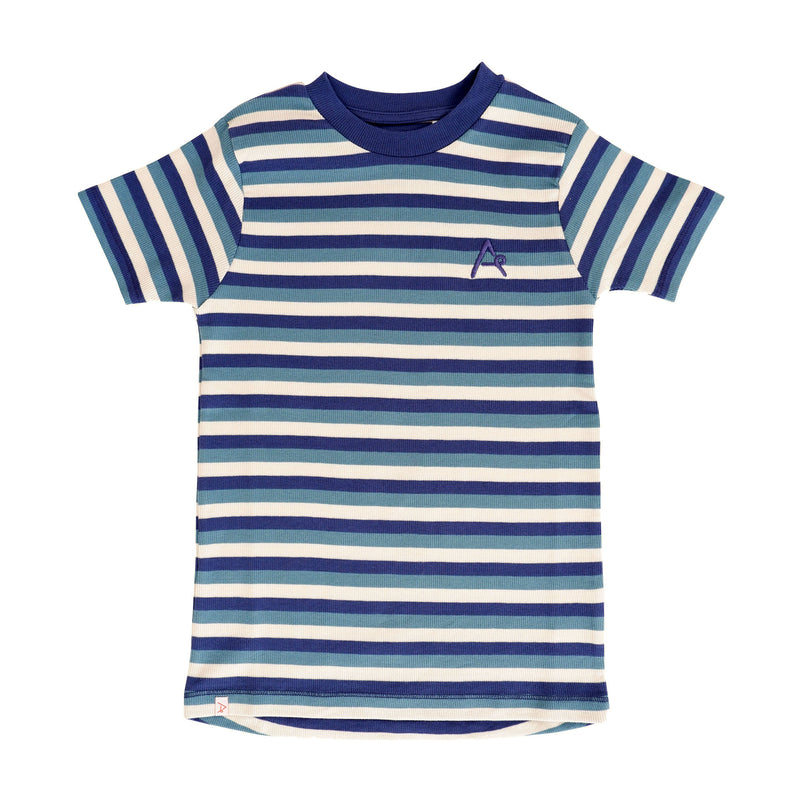 Load image into Gallery viewer, The Bell T-shirt, Storm Blue Retro Stripes
