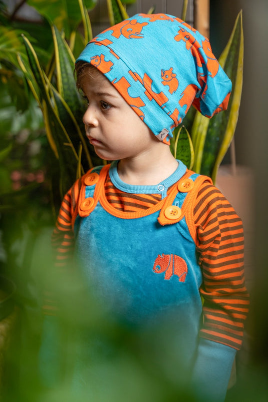 Albababy pointed hood with blue and orange rhinos